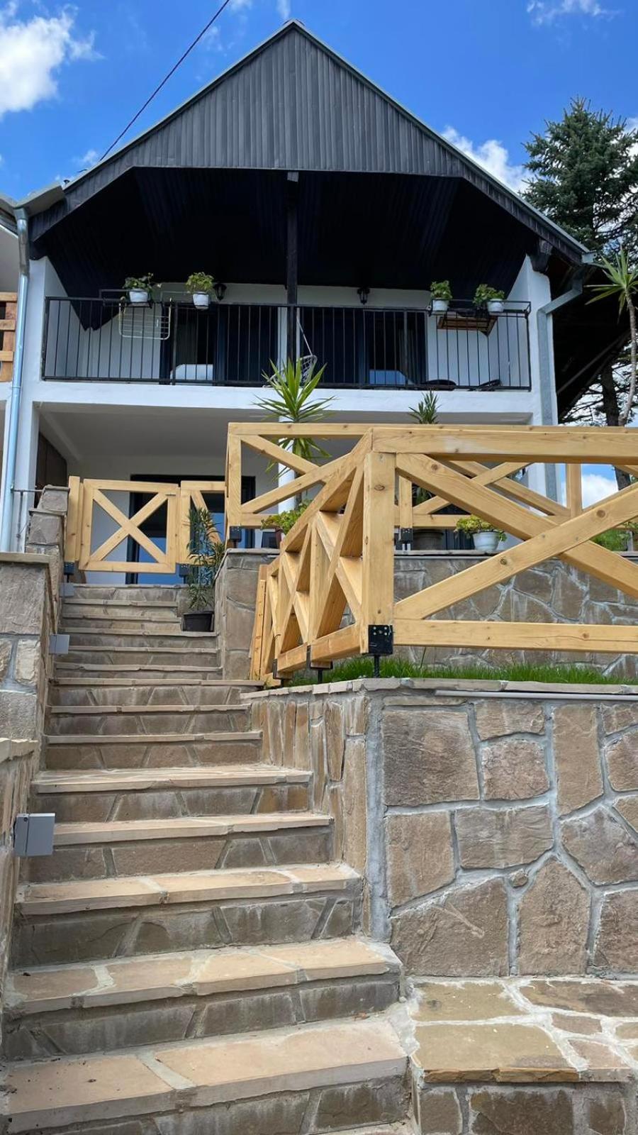 Vila Zapis - Zavojsko Jezero Pirot Exterior photo